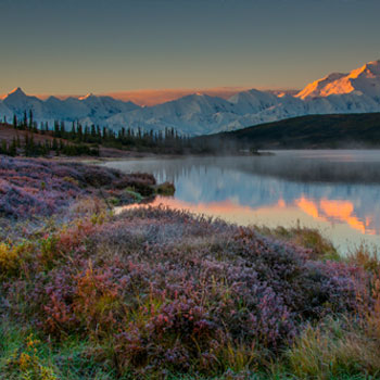 ​Denali Park Trips